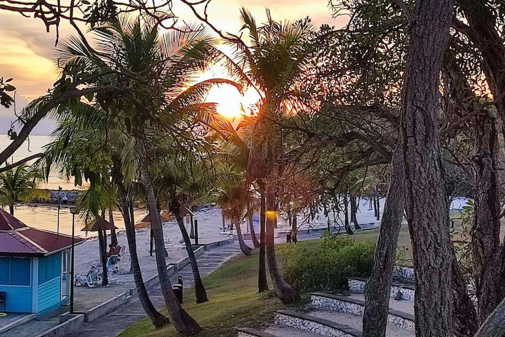Studio vue mer Guadeloupe Sainte-Anne  Eksteriør bilde
