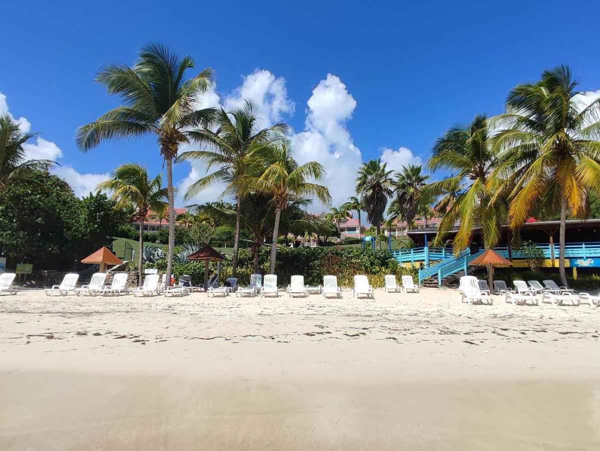 Studio vue mer Guadeloupe Sainte-Anne  Eksteriør bilde