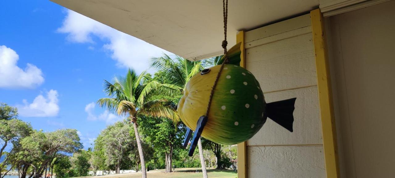 Studio vue mer Guadeloupe Sainte-Anne  Eksteriør bilde